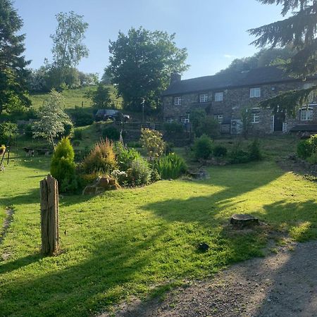 Pant-Y-Creolen Apartment Llanfyllin Екстериор снимка
