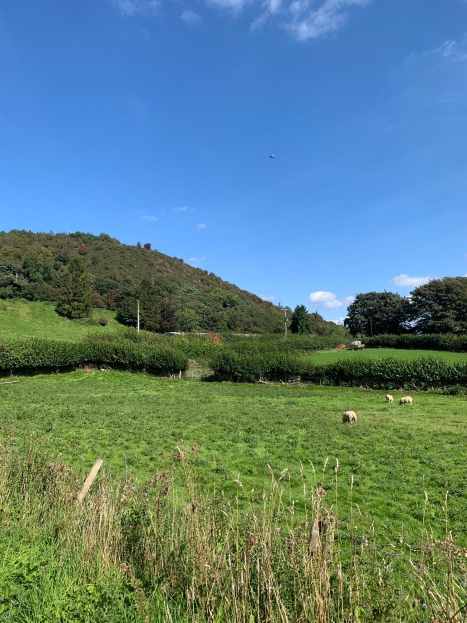 Pant-Y-Creolen Apartment Llanfyllin Екстериор снимка